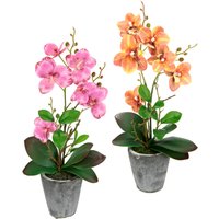 I.GE.A. Kunstpflanze "Orchidee" Mit Blättern und Luftwurzeln, im Topf aus Keramik, 2er Set I.GE.A. Kunstpflanze "Orchidee" Mit Blättern und Luftwurzeln, im Topf aus Keramik, 2er Set von I.Ge.A.