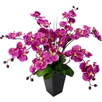 I.GE.A. Kunstpflanze "Phalaenopsis im Topf" I.GE.A. Kunstpflanze "Phalaenopsis im Topf" von I.Ge.A.