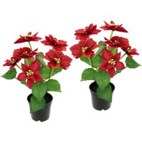 I.GE.A. Kunstpflanze "Poinsettie", im Topf, 2er Set von I.Ge.A.