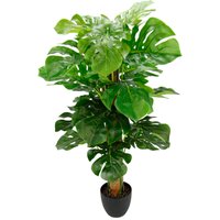 I.GE.A. Kunstpflanze "Splitphilopflanze" im Kunststofftopf von I.Ge.A.