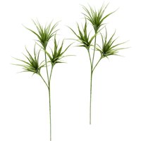 I.GE.A. Kunstpflanze "Tillandsia", 2er Set I.GE.A. Kunstpflanze "Tillandsia", 2er Set von I.Ge.A.