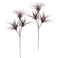 I.GE.A. Kunstpflanze "Tillandsia", 2er Set I.GE.A. Kunstpflanze "Tillandsia", 2er Set von I.Ge.A.