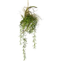 I.GE.A. Kunstpflanze "Tillandsia", Hänger auf Ast Künstlicher Moos Hängeampel Kunstpflanze von I.Ge.A.