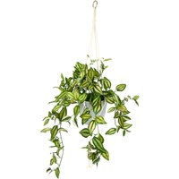 I.GE.A. Kunstpflanze "Tradeskantie" Tradescantiahängeampel I.GE.A. Kunstpflanze "Tradeskantie" Tradescantiahängeampel von I.Ge.A.
