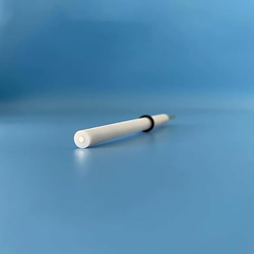 Scheibenelektrode aus 99,99% reinem Silber mit PTFE-isoliertem Stab – 80 mm Länge, anpassbare Lösungen verfügbar(D6mm) von IAGWNNWY