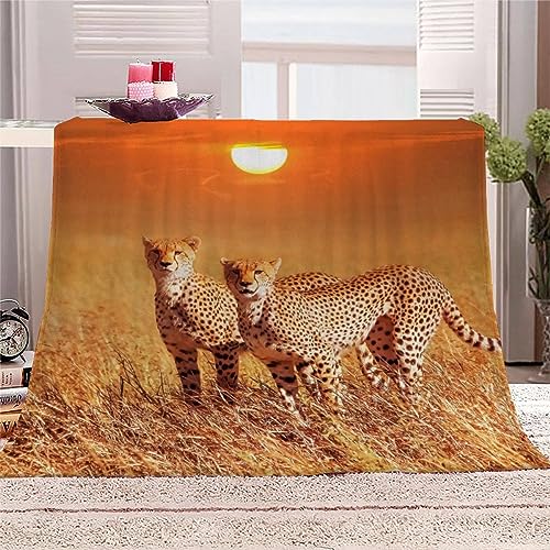 IATAHI Kuscheldecke Kinder 70x100 cm Gepard Decke Flauschig 3D Wohndecke Weiche Mikrofaser Flanell Decke für Junge Mädchen Fleecedecke Sofadecke Couchdecke Tagesdecke von IATAHI