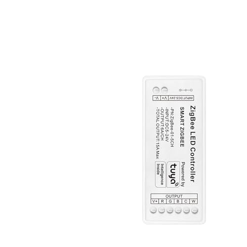 1PCS 12V 24V LED-Controller Einzelfarbe Doppelweiß RGB RGBW RGBCCT LED-Lichtleiste Controller(RGBCW) von IBADFPLG