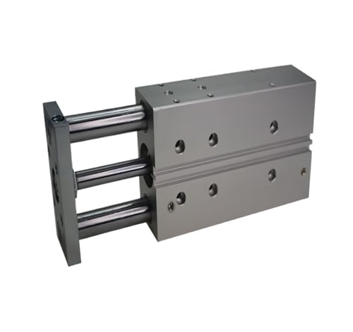 IBADFPLG Kompakter Führungszylinder DFM-20 Pneumatikzylinder DFM mit Führungsstange - Bohrung 20 mm Hub 20-100 mm(-40-P-A-GF) von IBADFPLG