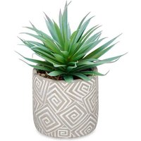 Topfpflanze mit grauem topf Topfpflanze mit grauem topf von IBERGARDEN