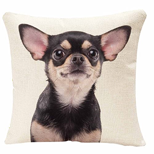 IBILIU Throw Pillow Covers Chihuahua Dog Cushion Pillow Case Home Decor Pillowcase 18x18 Inches von IBILIU