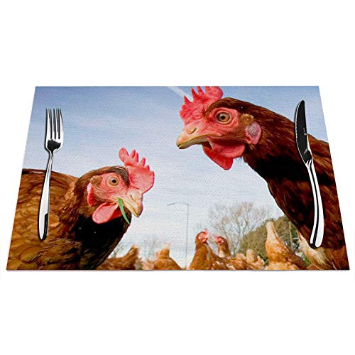 Tischsets mit Huhn-Motiv, 4 Stück, lustiges Huhn, grünes Gras, hitzebeständig, für Esstisch, rutschfest, 45,7 x 30,5 cm von IBILIU