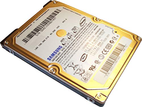 IBM 60 GB SATA HM060II interne Festplatte von IBM