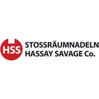 Räumnadel-Einlage Gr10IV Hassay Savage IBT von IBT
