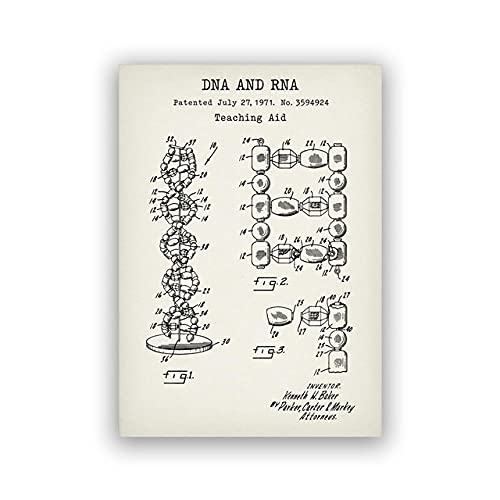 IBUKHSDGYIFH Human DNA and RNA Teaching Aid Poster Genetics Gift Science Paintings Decor Biology Wall Art Canvas Print Medical Student Unframed-30x40cm IBUKHSDGYIFH Human DNA and RNA Teaching Aid Poster Genetics Gift Science Paintings Decor Biology Wall Art Canvas Print Medical Student Unframed-30x40cm von IBUKHSDGYIFH