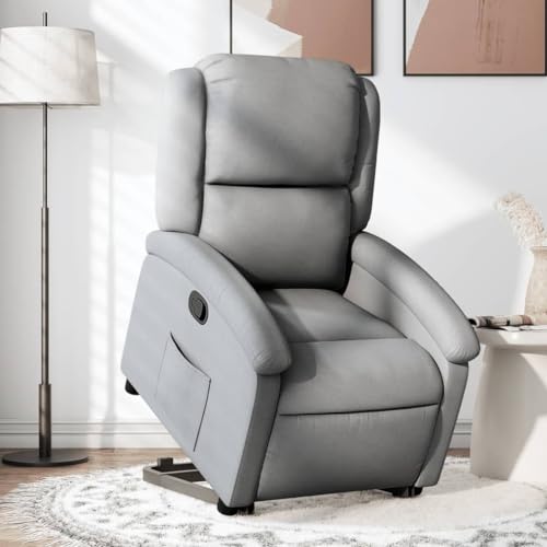 IBUQDDV Armlehnensessel Lesesessel Loungesitz Fernsehsessel Relaxsessel mit Aufstehhilfe Hellgrau Stoff für Wohnzimmer Schlafzimmer von IBUQDDV