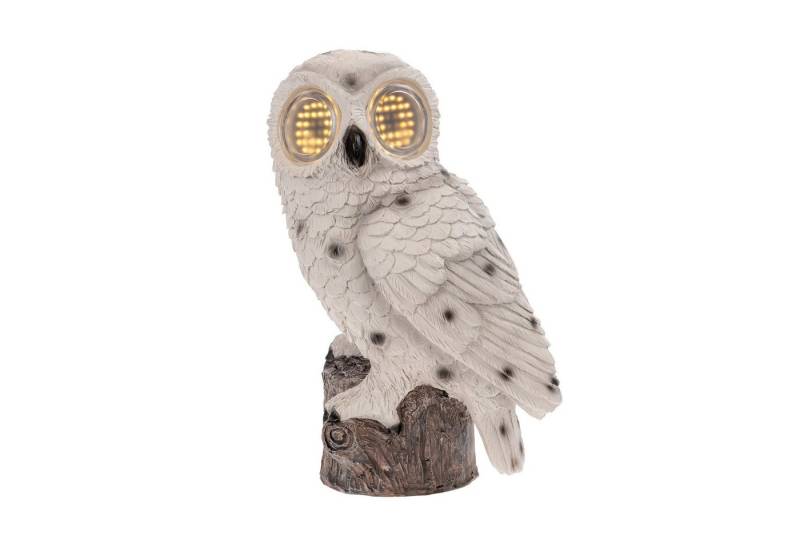 IC Gardenworld Gartenfigur Solar Tierfigur mit animierten LED-Kulleraugen / Rolling Eyes, Stein-Optik, Gartenfigur, 64 Lichtern, wetterfest, solarbetrieben von IC Gardenworld