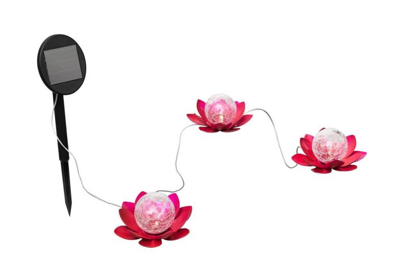 IC Gardenworld LED Solarleuchte Solar Dekoleuchte Lotusblume mit Bruchglaskugel, LED fest integriert, warm-weiß, moderne Gartenleuchte als Lotusblüte / Seerose von IC Gardenworld