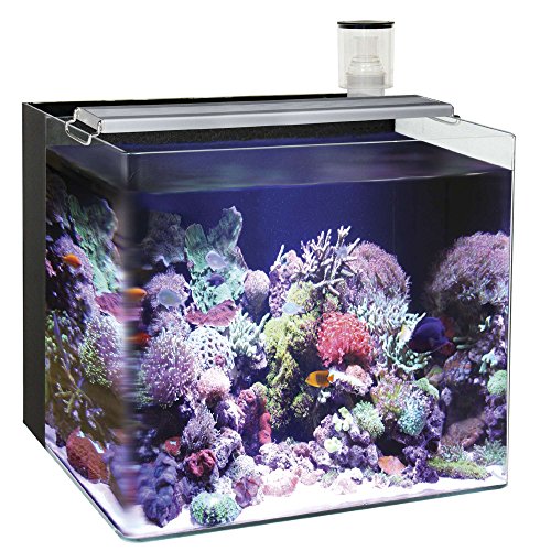 Ocean Free AT640A Nano Aquarium Marine, Schwarz von Ocean Free