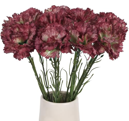 ICBOX Künstliche Nelken, rote Vintage-Seidenblumen, realistische künstliche Nelken mit Stielen für Heimdekoration, Hochzeit, Brautstrauß, Geburtstag, Blumenarrangements, 12 Stück ICBOX Künstliche Nelken, rote Vintage-Seidenblumen, realistische künstliche Nelken mit Stielen für Heimdekoration, Hochzeit, Brautstrauß, Geburtstag, Blumenarrangements, 12 Stück von ICBOX