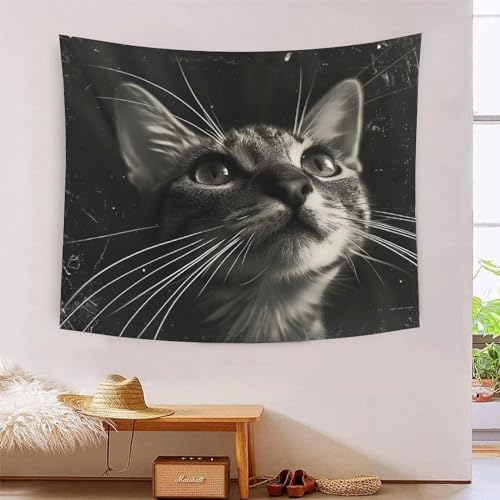 ICFGHJQRS Tabby 3D-Druck Wandteppich Poster Wanddekoration Tapestry Zubehör Trennwände Wandteppich Für Wohnzimmer Schlafzimmer 180cmx230cm von ICFGHJQRS