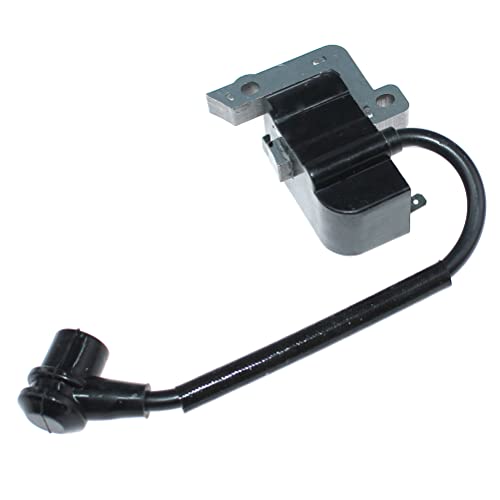 ICOOYO Zündspule für Echo GT-2000EZR PAS-2000 PAS-2100 PE-2400 PPF-2100 PPSR-2122 PPSR-2433 PPT-2100 PPT-2400 SRM-2400 SRM-2410 von ICOOYO
