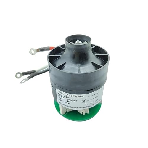 DC 24 V 25,2 V 500 W 120000 RPM Ultra High Speed Power bürstenloser elektronischer Anlasser Dust Suction Fan Aluminum Impeller Turbo Fan with Controller ICXLPMC(ONLY MOTOR_DC 25.2 V) von ICXLPMC