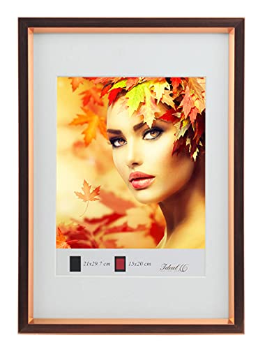 IDEAL TREND HS Kunststoff Bilderrahmen Schrägschnittpassepartout Bilder Foto Rahmen: Farbe: Rose Gold | Format: 30x45 von IDEAL TREND