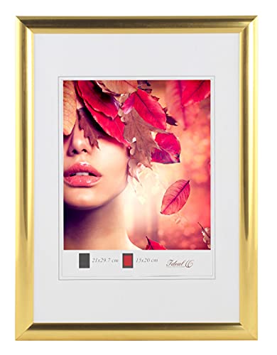 IDEAL TREND Moderner Bilderrahmen mit echtem Glas für wertvolle Erinnerungen Bilder Foto Rahmen mit abgerundetem Profil: Farbe: Gold | Format: 40x50 von IDEAL TREND