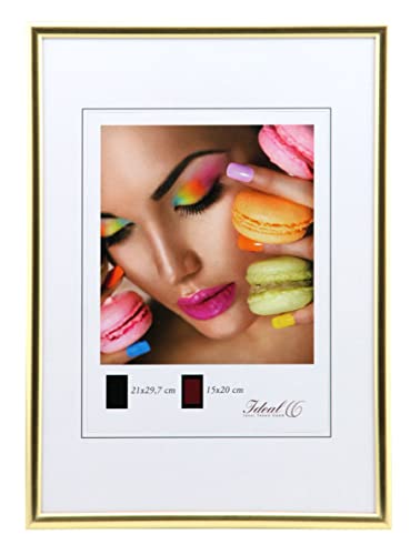 Ideal Life Kunststoff Bilderrahmen Wanddeko Collage Poster Bilder Foto Rahmen: Farbe: Gold | Format: 30x30 von IDEAL TREND