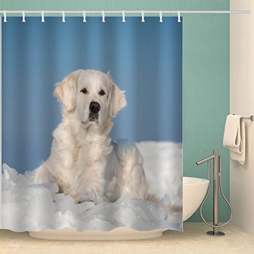 IDIDOS 3D Duschvorhang Anti-Schimmel Wasserdicht Duschvorhänge 180x180 cm Golden Retriever Duschvorhang 100% Polyester Tier Hund Badvorhang mit 12 Hooks von IDIDOS
