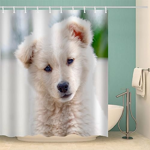IDIDOS 3D Duschvorhang Anti-Schimmel Wasserdicht Duschvorhänge 180x180 cm Golden Retriever Welpe Duschvorhang 100% Polyester Tier Hund Badvorhang mit 12 Hooks von IDIDOS