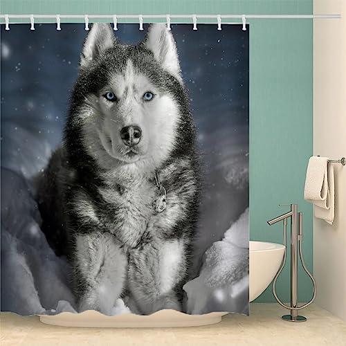 IDIDOS 3D Duschvorhang Anti-Schimmel Wasserdicht Duschvorhänge 180x180 cm Sibirischer Husky Duschvorhang 100% Polyester Tier Hund Badvorhang mit 12 Hooks von IDIDOS