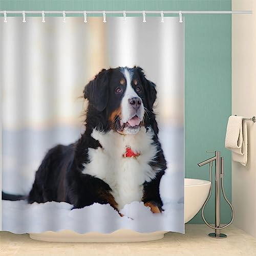 IDIDOS 3D Duschvorhang Anti-Schimmel Wasserdicht Duschvorhänge 180x200 cm Berner Sennenhund Duschvorhang 100% Polyester Tier Hund Badvorhang mit 12 Hooks von IDIDOS