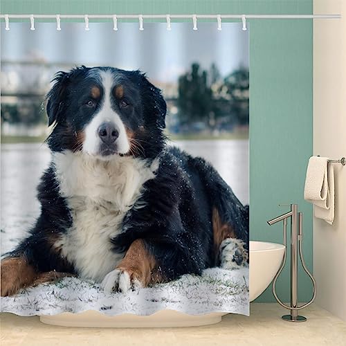 IDIDOS 3D Duschvorhang Anti-Schimmel Wasserdicht Duschvorhänge 180x200 cm Berner Sennenhund Duschvorhang 100% Polyester Tier Hund Badvorhang mit 12 Hooks von IDIDOS