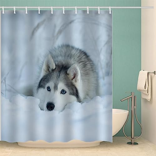 IDIDOS 3D Duschvorhang Anti-Schimmel Wasserdicht Duschvorhänge 180x200 cm Husky Hund Duschvorhang 100% Polyester Tier Hund Badvorhang mit 12 Hooks von IDIDOS
