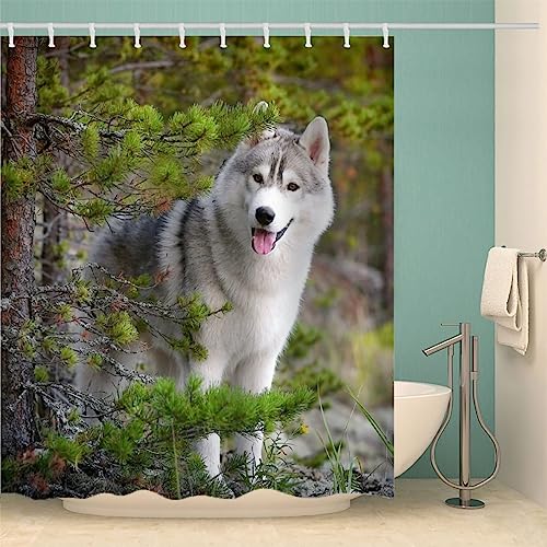 IDIDOS 3D Duschvorhang Anti-Schimmel Wasserdicht Duschvorhänge 180x200 cm Schlittenhund Duschvorhang 100% Polyester Tier Hund Badvorhang mit 12 Hooks von IDIDOS