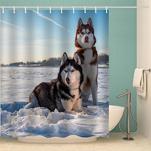 IDIDOS 3D Duschvorhang Anti-Schimmel Wasserdicht Duschvorhänge 180x200 cm Sibirischer Husky Duschvorhang 100% Polyester Tier Hund Badvorhang mit 12 Hooks von IDIDOS
