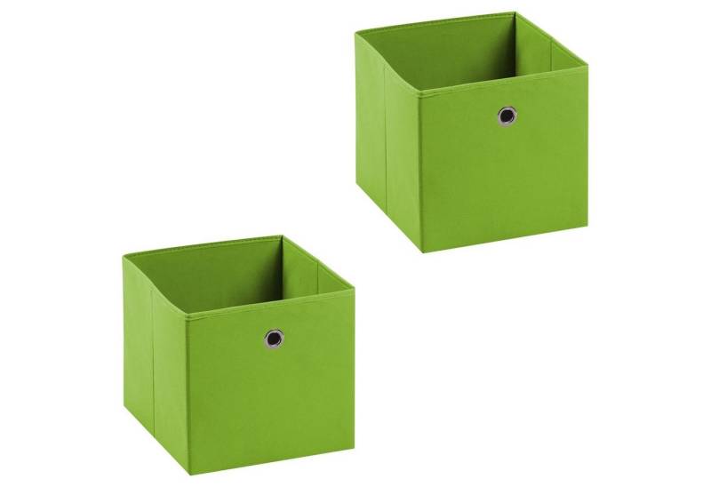 IDIMEX Aufbewahrungsbox ELA (Set), Aufbewahrungsboxen im 2er Set, Regalboxen mit Griff 27x27cm grün von IDIMEX