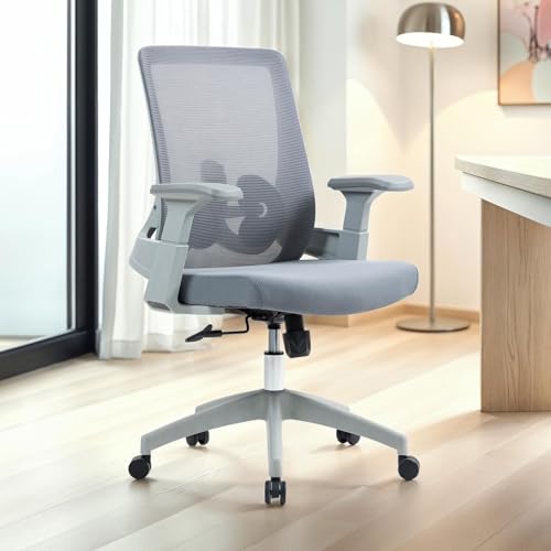 IDIMEX Bürodrehstuhl CAPVAL höhenverstellbar mit Lendenstütze, grau - ergonomischer Schreibtischstuhl mit Mesh-Rücken, moderner Drehstuhl, bequemer Bürostuhl für Home-Office [bis 120 kg] von IDIMEX