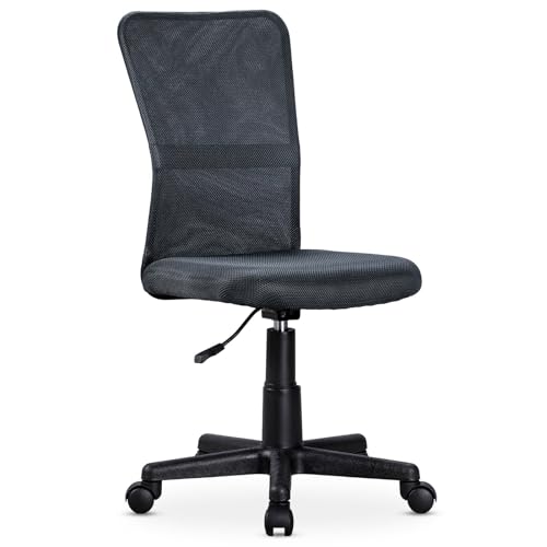 IDIMEX Bürodrehstuhl TODI höhenverstellbar & schwenkbar -grau ergonomischer Schreibtischstuhl mit atmungsaktivem Netzrücken und Wippmechanik mit stabilem Kreuzfuß [Belastbarkeit 100 kg] von IDIMEX