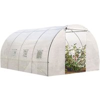 Idmarket - 12M² weißes Tunnelgewächshaus für Gemüseanbau zebra 4x3M von IDMARKET