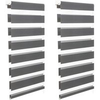 Idmarket - Satz von 2 Rollos mit Zebramuster Tag und Nacht B.40 x h. max 170 cm grau von IDMARKET