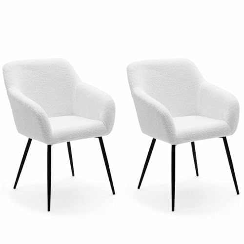 IDMarket - 2er Set Esszimmerstühle, Esszimmerstühle Shelia aus Bouclette Stoff von IDMarket