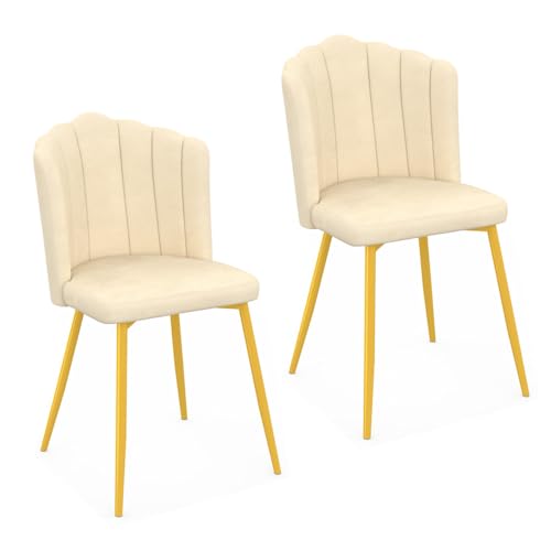 IDMarket - Set mit 2 Stühlen Muschel Adella beige aus Samt mit goldenen Füßen von IDMarket