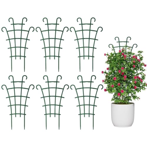 IDNVFY 6 Stück Kletterpflanzen-Blumen-Stützrahmen, Klettergerüst Für Pflanzenwachstum, Mini-Garten-Stützrahmen, Pflanzen-Rattan-Stützstange, Gartengeräte. von IDNVFY