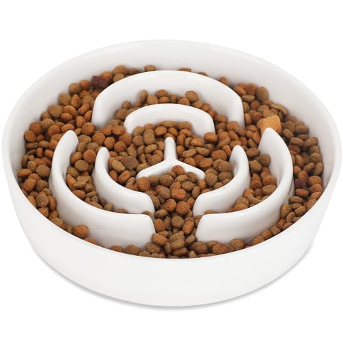 IDOGCHEW Anti Schling Napf Hund Keramik, Slow Feeder Hundenapf Ø 20.5cm, Futternapf Hund für mittelgroße und große Hunde, rutschfest, spülmaschinenfest, lebensmittelechtes Material, weiß IDOGCHEW Anti Schling Napf Hund Keramik, Slow Feeder Hundenapf Ø 20.5cm, Futternapf Hund für mittelgroße und große Hunde, rutschfest, spülmaschinenfest, lebensmittelechtes Material, weiß von IDOGCHEW