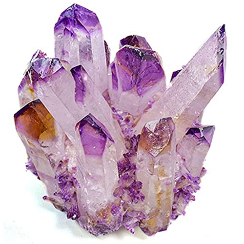 IDUTQUMW PEIQIYIN Natürliche Amethyst-Kristall-Geode, Amethyst-Cluster-Punkt-Druzy-Probe, Amethyst-roher Bergkristall-Stein, Sammlung, Dekor, Geschenk, 700–800 g von IDUTQUMW