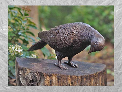 IDYL Bronze-Skulptur Taube mit gesenktem Kopf | 12x10x25 cm | Tierfigur aus Bronze handgefertigt | Gartenskulptur oder Teich-Dekoration | Hochwertiges Kunsthandwerk | Wetterfest IDYL Bronze-Skulptur Taube mit gesenktem Kopf | 12x10x25 cm | Tierfigur aus Bronze handgefertigt | Gartenskulptur oder Teich-Dekoration | Hochwertiges Kunsthandwerk | Wetterfest von IDYL