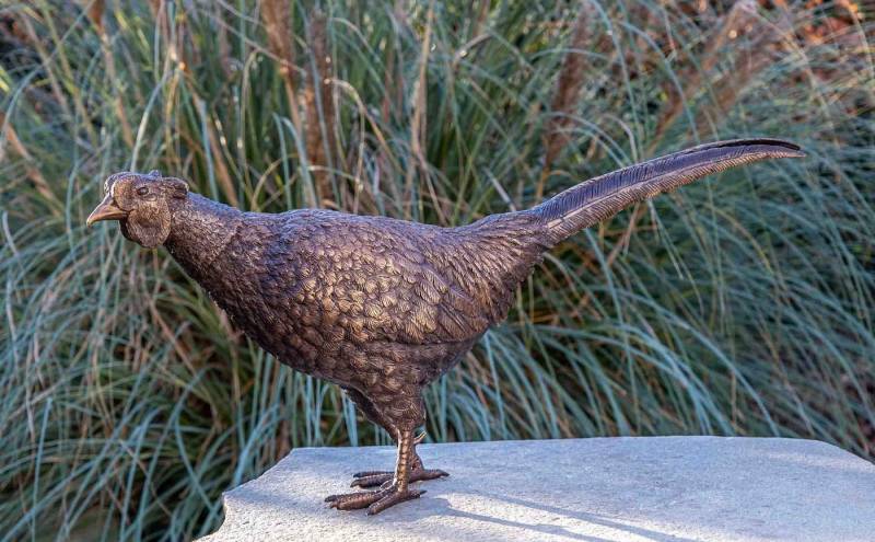 IDYL Gartenfigur IDYL Bronze-Skulptur Fasan, Bronze – sehr robust – Langlebig – witterungsbeständig gegen Frost, Regen und UV-Strahlung. Die Modelle werden in Wachsausschmelzverfahren in Bronze gegossen und von Hand patiniert. IDYL Gartenfigur IDYL Bronze-Skulptur Fasan, Bronze – sehr robust – Langlebig – witterungsbeständig gegen Frost, Regen und UV-Strahlung. Die Modelle werden in Wachsausschmelzverfahren in Bronze gegossen und von Hand patiniert. von IDYL