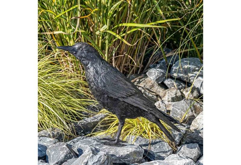 IDYL Gartenfigur IDYL Bronze-Skulptur Rabe männlich, Bronze – sehr robust – Langlebig – witterungsbeständig gegen Frost, Regen und UV-Strahlung. Die Modelle werden in Wachsausschmelzverfahren in Bronze gegossen und von Hand patiniert. IDYL Gartenfigur IDYL Bronze-Skulptur Rabe männlich, Bronze – sehr robust – Langlebig – witterungsbeständig gegen Frost, Regen und UV-Strahlung. Die Modelle werden in Wachsausschmelzverfahren in Bronze gegossen und von Hand patiniert. von IDYL